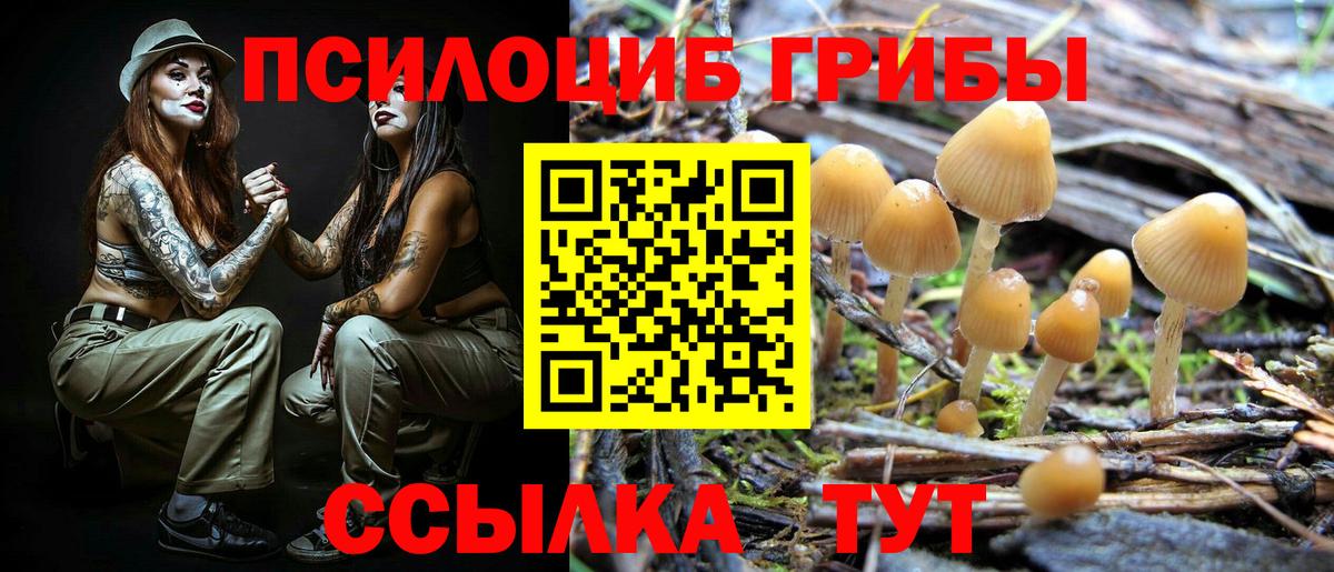 Галлюциногенные грибы прущие грибы  Вход с VPN  Нижневартовск 